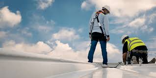 Best Roof Coating and Sealing  in Van Vleck, TX